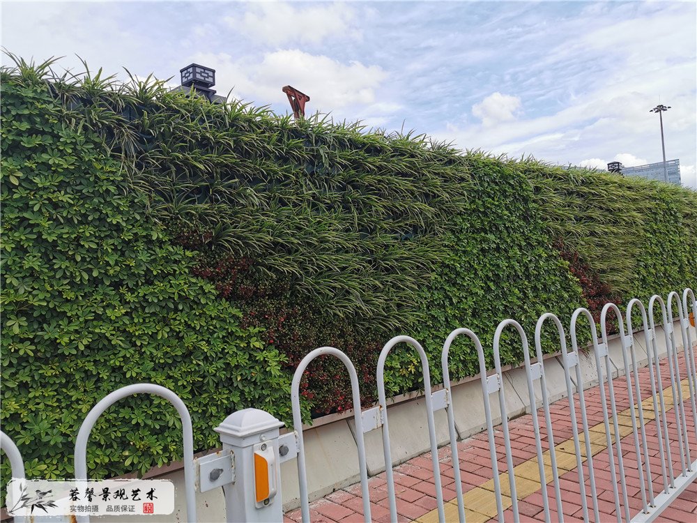 广州琶洲会展中心垂直绿化植物墙围挡案例 (8)