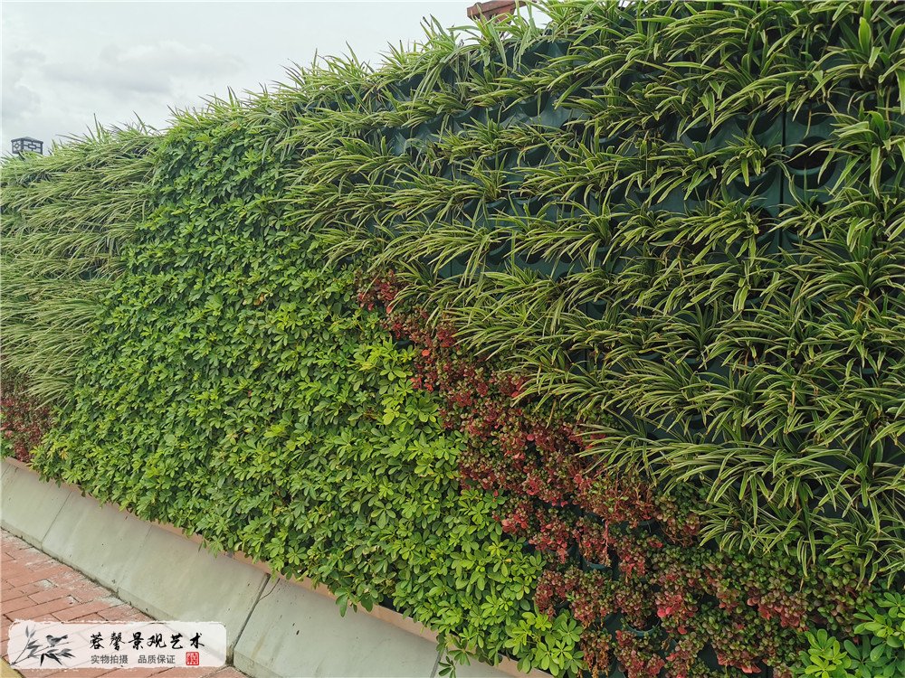 广州琶洲会展中心垂直绿化植物墙围挡案例 (2)