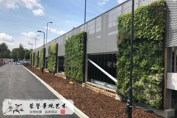 重庆办公室植物墙