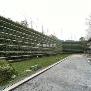 下沉围墙植物墙，成都超算中心建筑垂直绿化景观