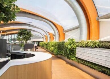 餐廳植物墻，大型露天生態餐飲店垂直綠化景觀