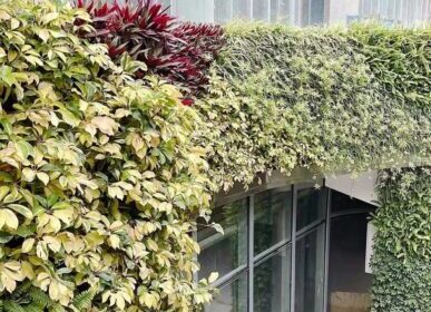 下沉式垂直绿化，商综护栏生态植物墙景观