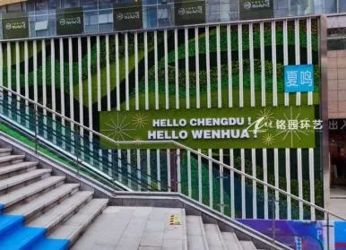 商业下沉式景观，泰合财富广场仿真植物墙