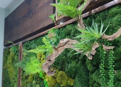 永生苔藓墙，墙体苔藓相框景观
