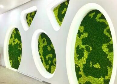 室内苔藓造型墙，永生苔藓造景绿化景观