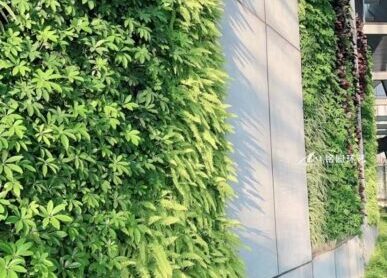机场植物墙，珠海金湾机场外墙立体绿化景观
