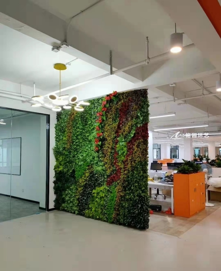 公司绿植形象墙
