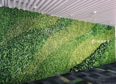 办公室仿真绿植墙，公司企业绿植形象墙景观