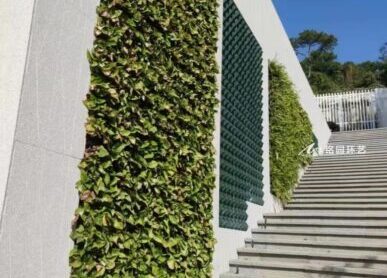 台阶植物墙，市政建筑步梯旁垂直绿化景观