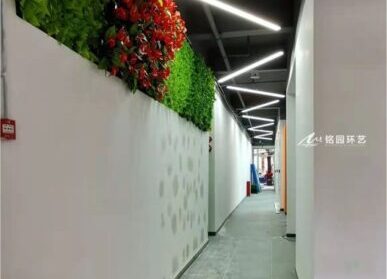 办公楼走廊绿化，走廊旁墙体仿真绿植景观