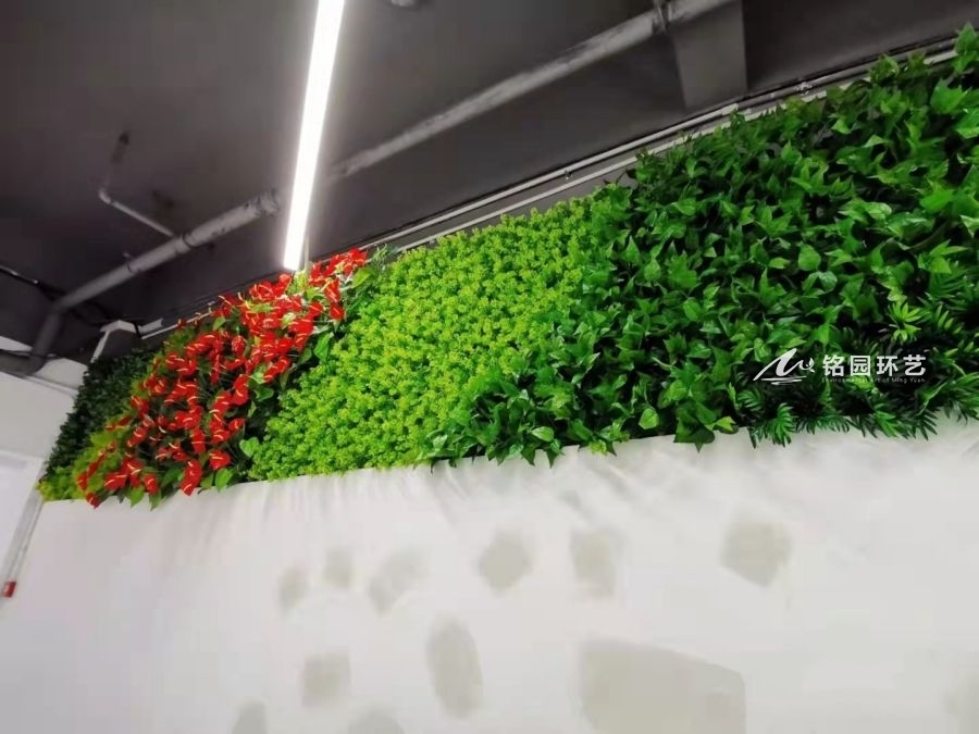 办公楼走廊绿化