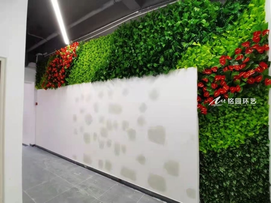 办公楼走廊绿化