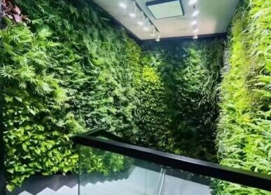 楼梯拐角植物墙，办公室商用空间步梯垂直绿化景观