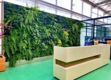 前台绿植形象墙，展厅服务台植物背景墙景观