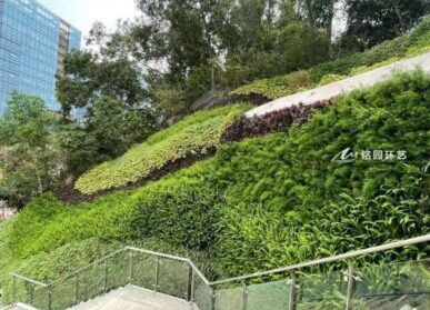 城市护坡绿化，市政山体边坡立体绿化景观