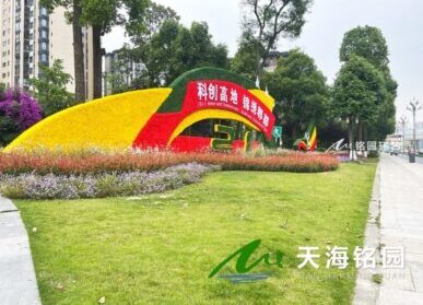 大运会绿雕，郫都区金粮路口熊猫造型仿真绿雕景观