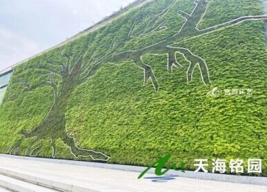 市政垂直绿化，重庆九龙滩围墙植物墙景观