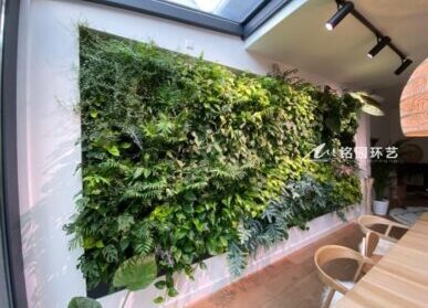 餐饮植物墙，5个室内餐厅垂直绿化景观案例