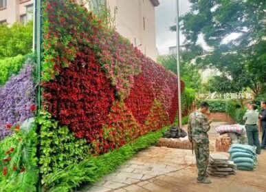 军区植物墙，云南某军区围挡垂直绿化景观