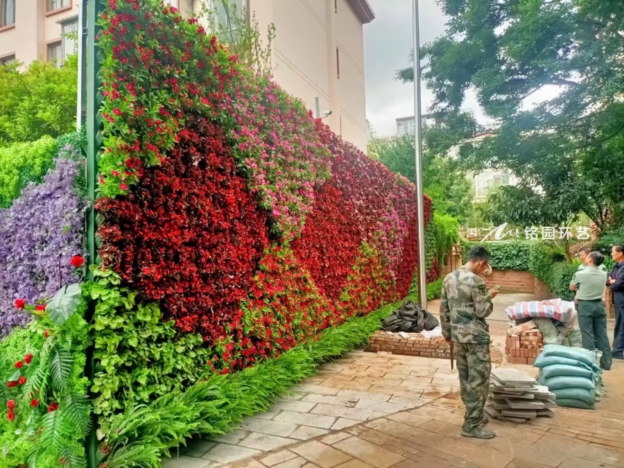 军区植物墙