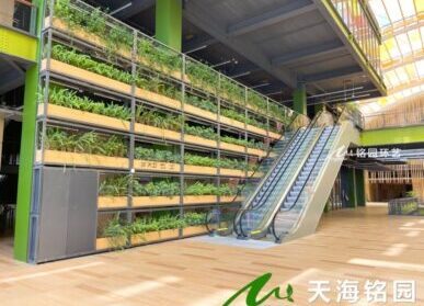會議大廳立體綠化，天府農博園花架式垂直綠化案例