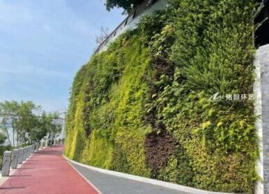 河堤公园垂直绿化，市政护坡墙体植物墙景观