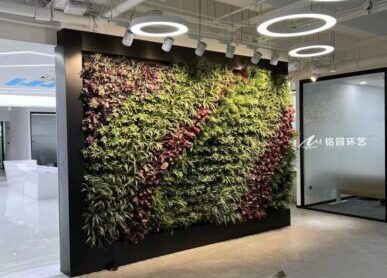 室內植物墻，AI創新中心辦公室內綠植形象墻景觀