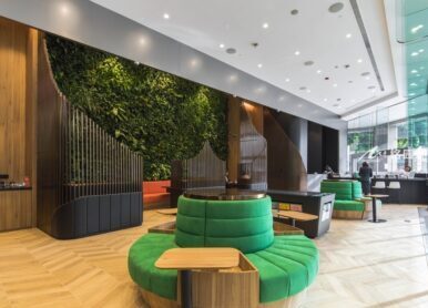 办公室绿植墙，室内绿植景观整体造景