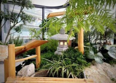 阳台绿化，家庭商业空间阳台植物景观造景