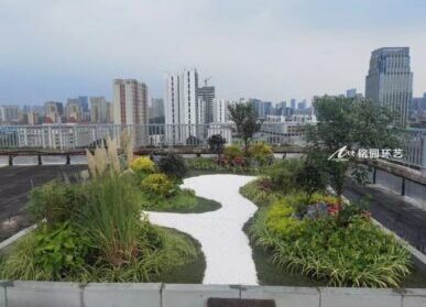 屋頂花園景觀，機構、公司樓頂綠化施工