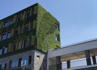 教学楼植物墙，学校建筑外墙绿化