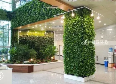 玻璃幕墻內植物墻，大廈室內垂直綠化景觀