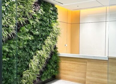 绿植形象墙，成都医学城公司室内植物墙