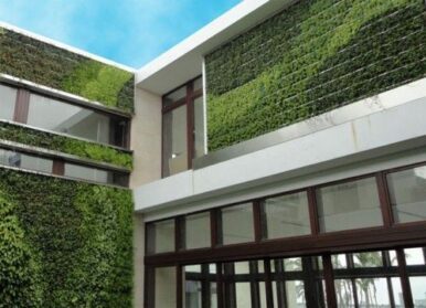 成都墙体绿化，方案和设计注意事项！