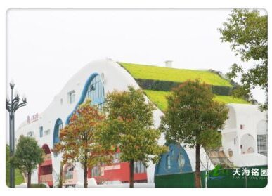 幼兒園立體綠化墻，屋頂弧面墻體綠植造景