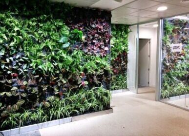 室内植物墙制作的好处有哪些？