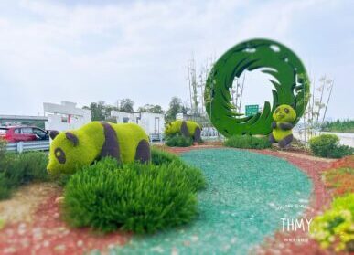 成都綠雕景觀，天府機場街道熊貓造型仿真綠植雕塑