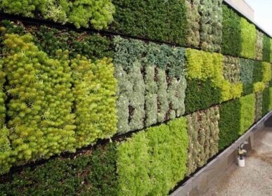 重庆植物墙