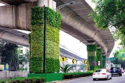 立交桥立体绿化