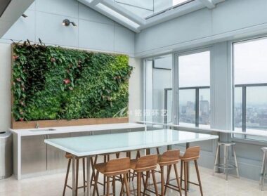 陽光房垂直綠化