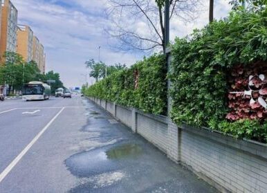 道路护栏植物墙，公交站点垂直绿化景观