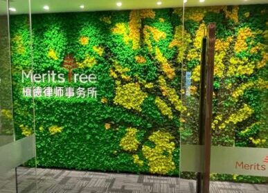 苔藓形象墙，植德律师事务所永生苔藓植物墙