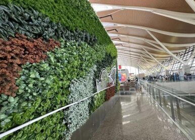 仿真植物墙，浦东机场室内仿真绿植形象墙