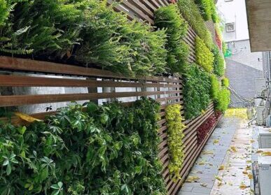 城区巷道绿植墙，过道垂直绿化造景