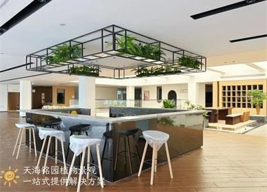吊装绿植景观，宝马4S点接待处仿真植物造景