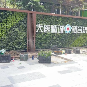 医院植物墙