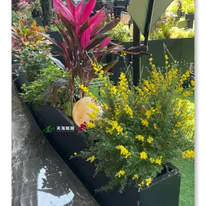 空中花园餐厅植物花箱