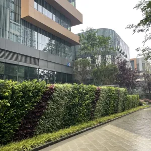 住宅区入口垂直绿化