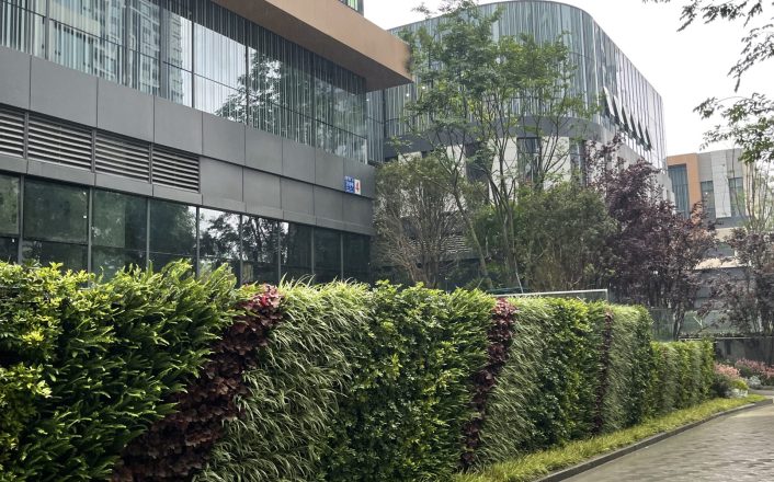 住宅區(qū)入口垂直綠化