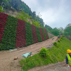坡面绿化：生态之美，绿色覆盖的诗意画卷